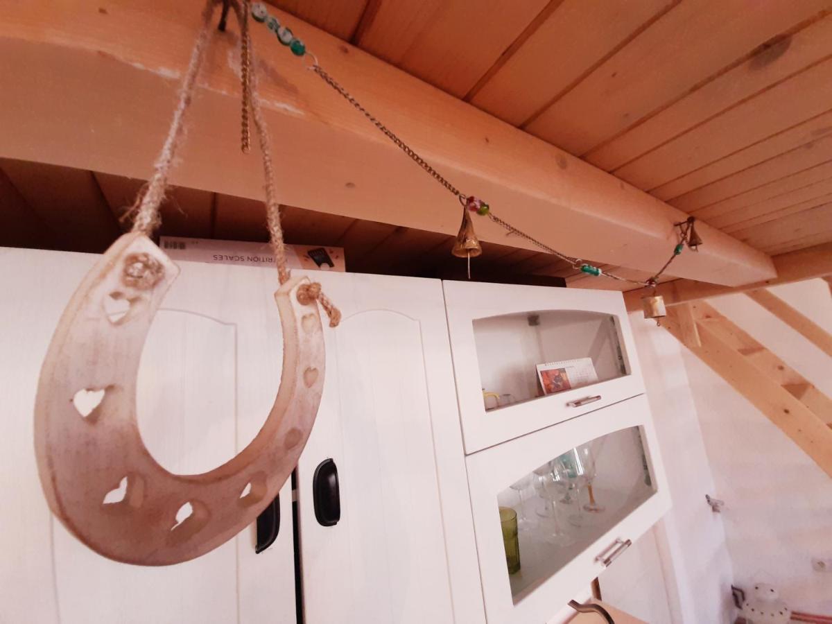 בראשוב Central Loft Apartment מראה חיצוני תמונה